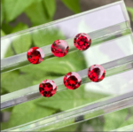 Red Garnet  Stone