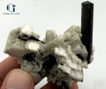 Black Tourmaline Crystals on Albite
