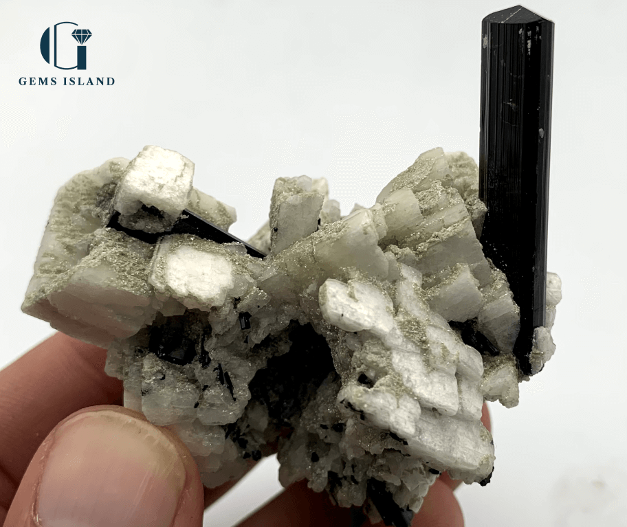 Black Tourmaline Crystals on Albite