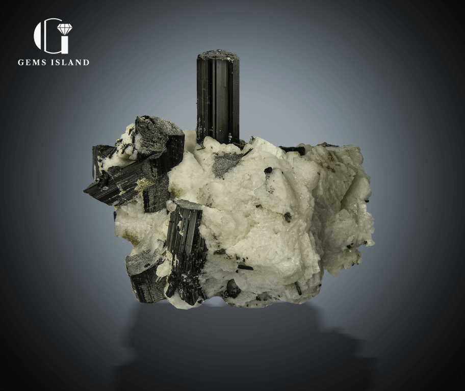 Black Tourmaline Crystals on Albite