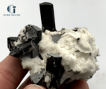 Black Tourmaline Crystals on Albite