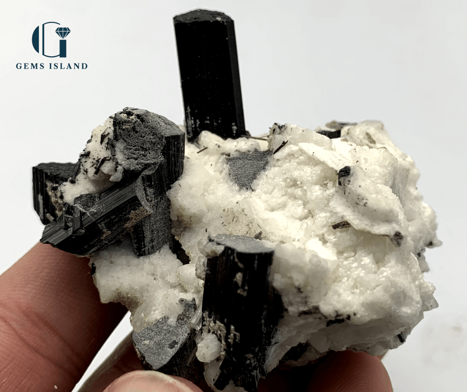 Black Tourmaline Crystals on Albite